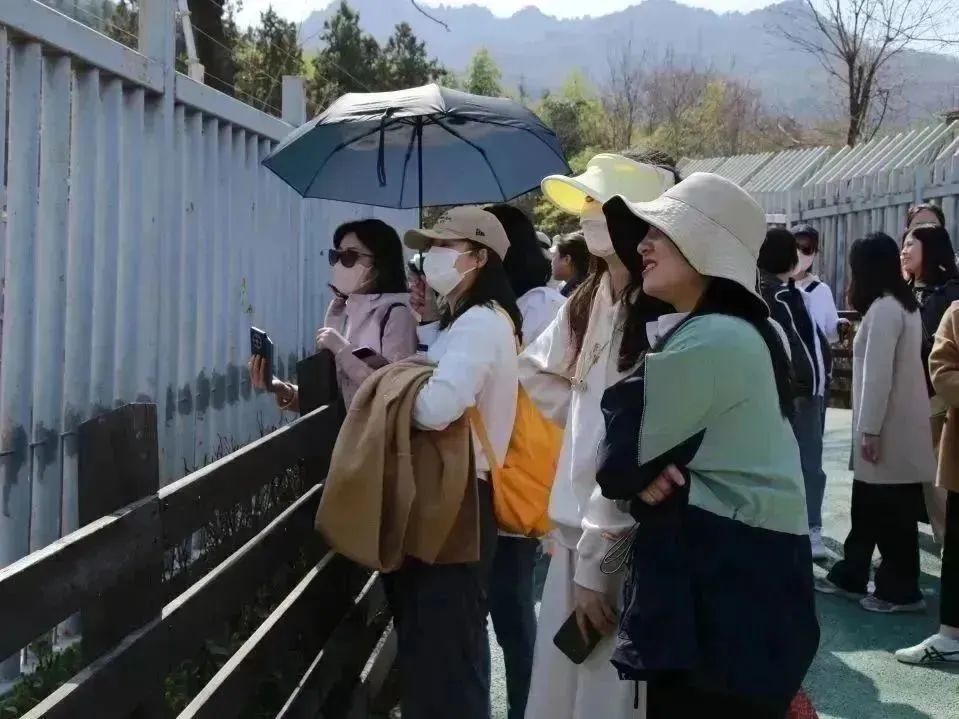 三八活动04.jpg 三八活动04.jpg